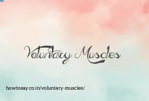 Voluntary Muscles