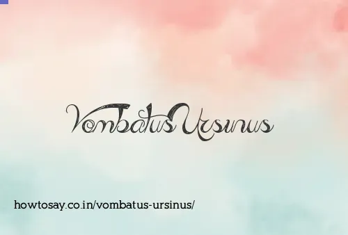 Vombatus Ursinus