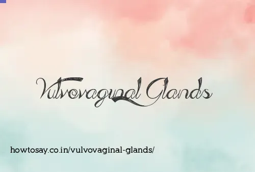 Vulvovaginal Glands