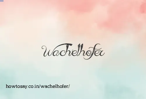 Wachelhofer