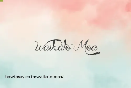 Waikato Moa