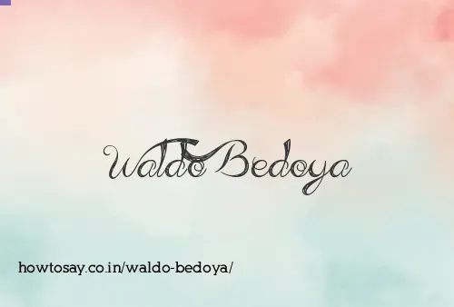 Waldo Bedoya