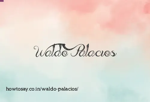 Waldo Palacios