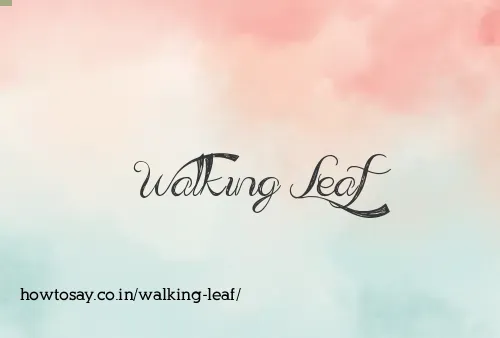 Walking Leaf