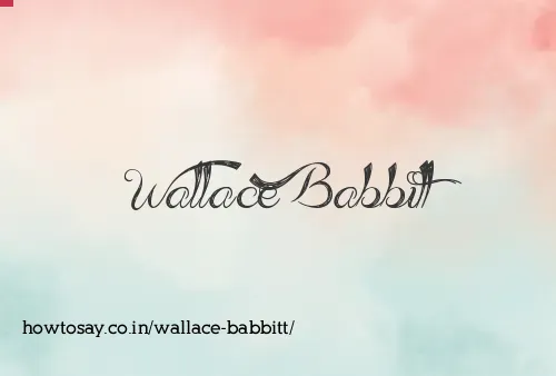 Wallace Babbitt
