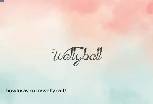 Wallyball