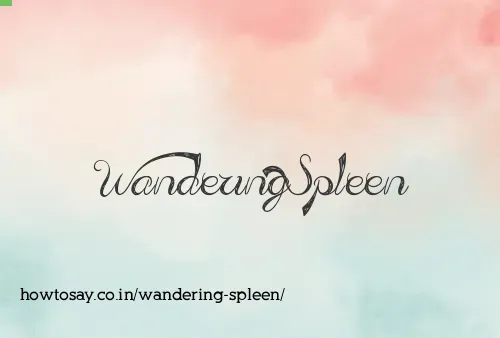 Wandering Spleen
