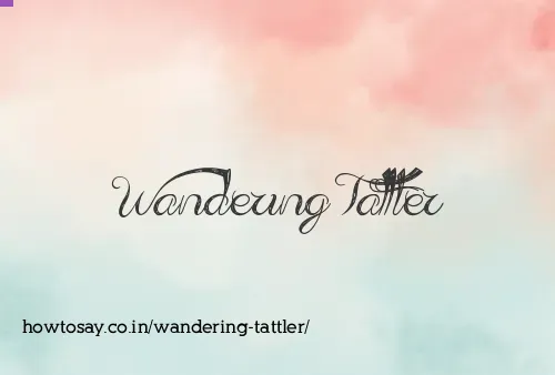 Wandering Tattler