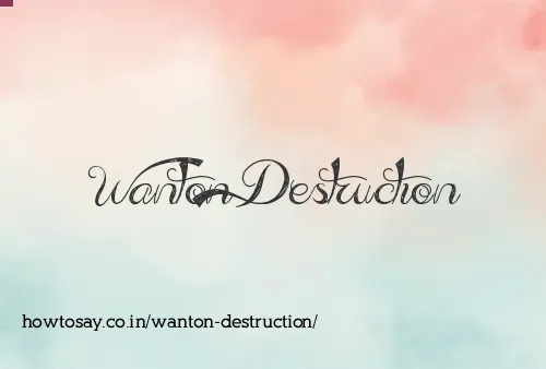 Wanton Destruction