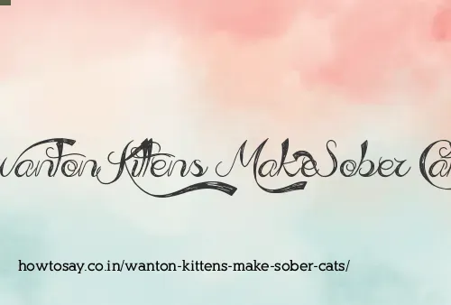 Wanton Kittens Make Sober Cats