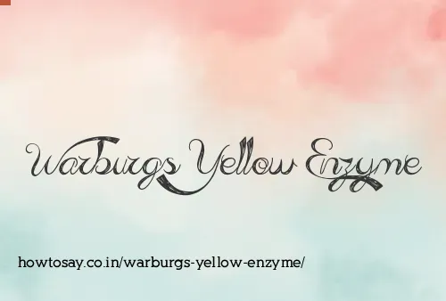 Warburgs Yellow Enzyme