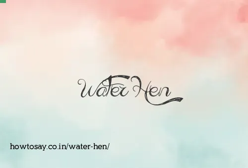 Water Hen