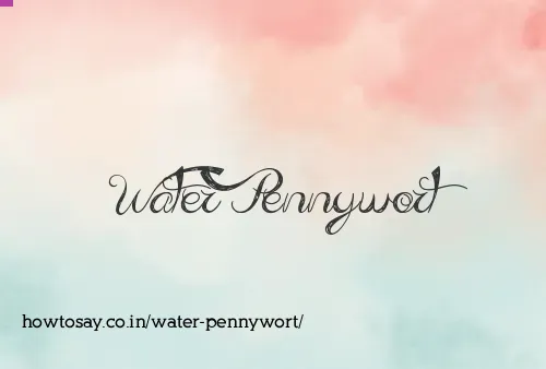 Water Pennywort