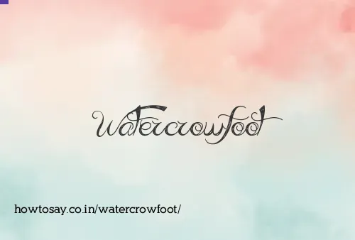 Watercrowfoot