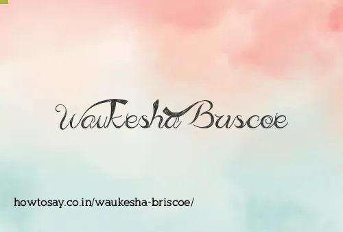 Waukesha Briscoe