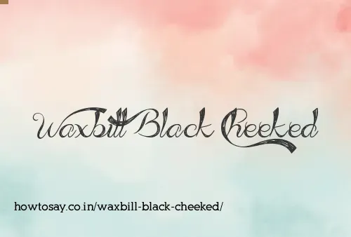 Waxbill Black Cheeked