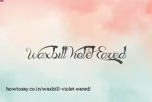 Waxbill Violet Eared