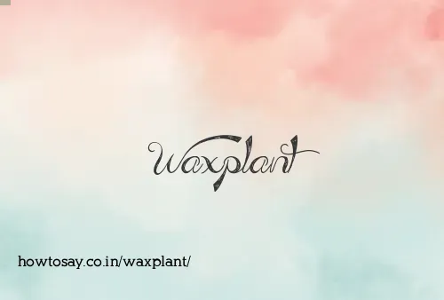 Waxplant