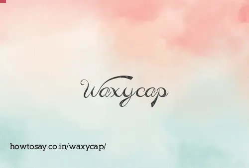 Waxycap
