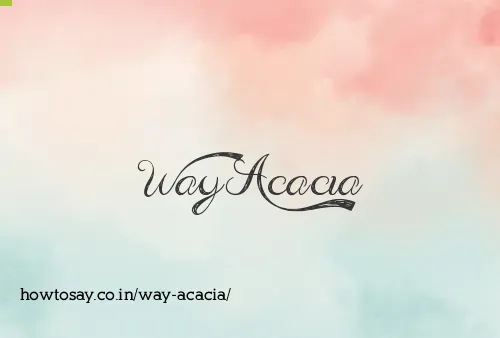 Way Acacia