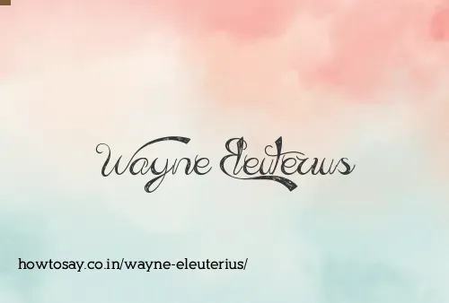 Wayne Eleuterius