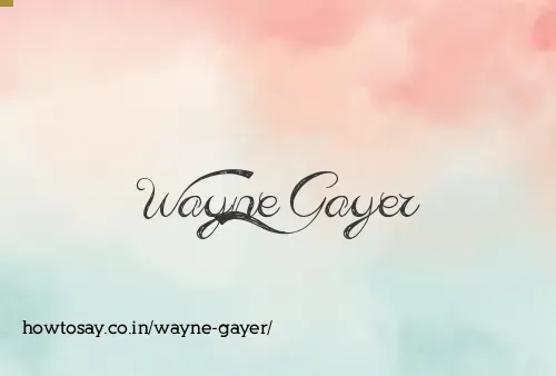 Wayne Gayer