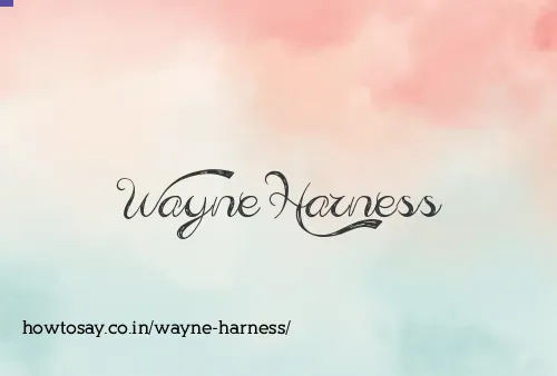 Wayne Harness