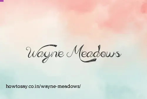 Wayne Meadows