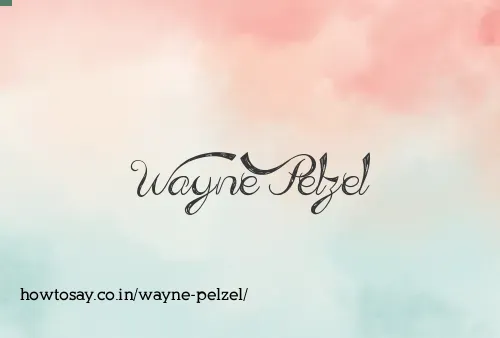Wayne Pelzel