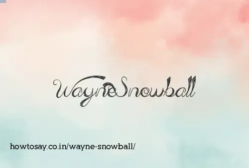 Wayne Snowball