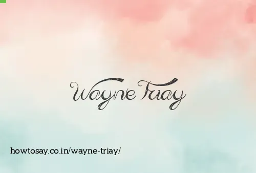 Wayne Triay