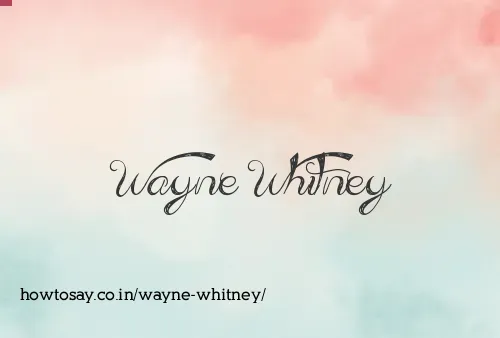 Wayne Whitney