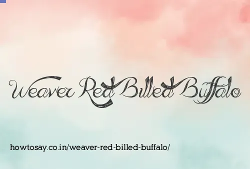 Weaver Red Billed Buffalo