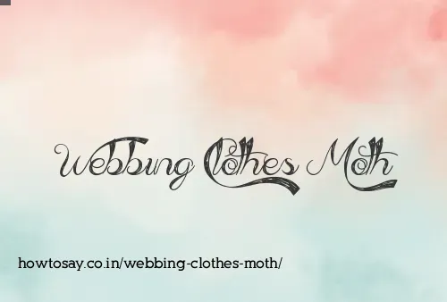 Webbing Clothes Moth