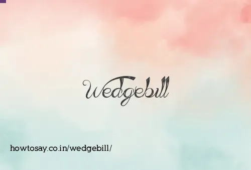 Wedgebill
