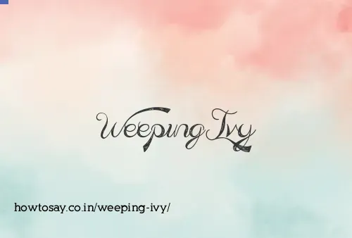 Weeping Ivy
