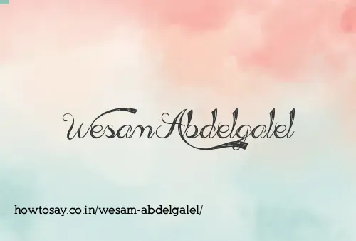 Wesam Abdelgalel