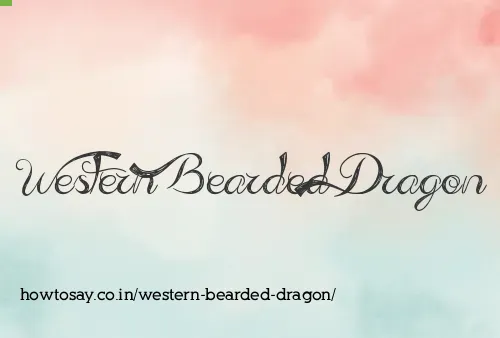 Western Bearded Dragon
