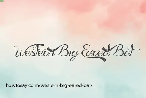 Western Big Eared Bat