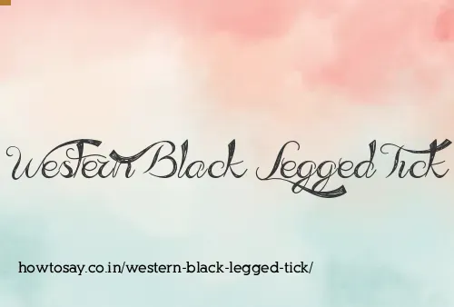 Western Black Legged Tick