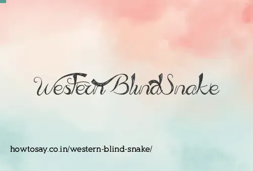 Western Blind Snake