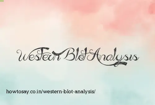 Western Blot Analysis