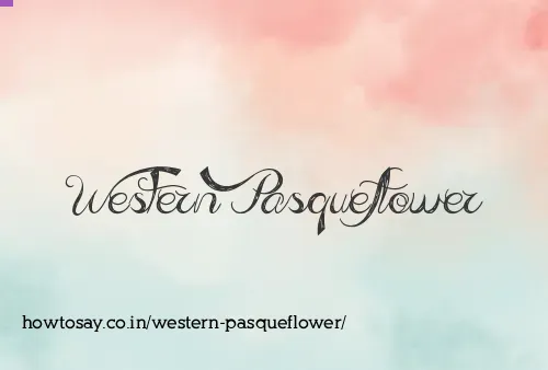 Western Pasqueflower
