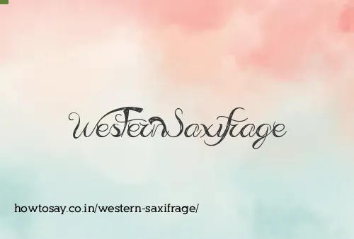 Western Saxifrage