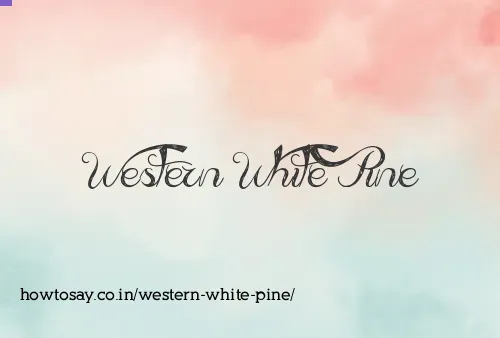 Western White Pine