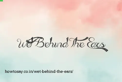 Wet Behind The Ears