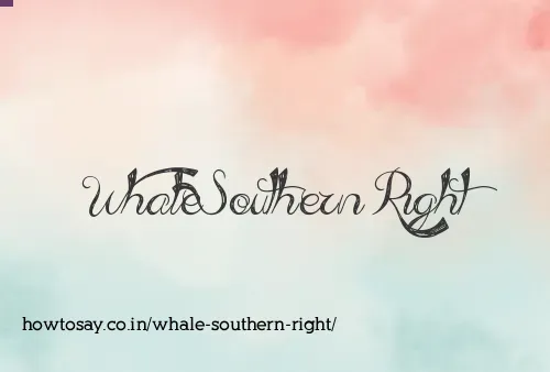 Whale Southern Right