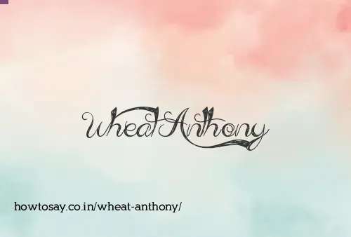 Wheat Anthony
