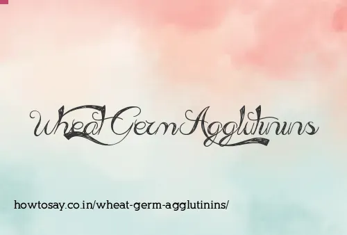 Wheat Germ Agglutinins