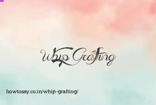 Whip Grafting